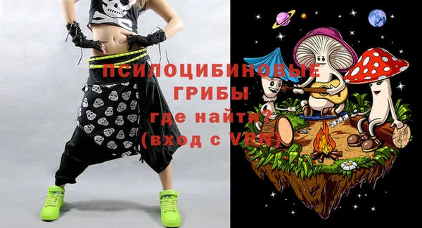 шишки Алексеевка
